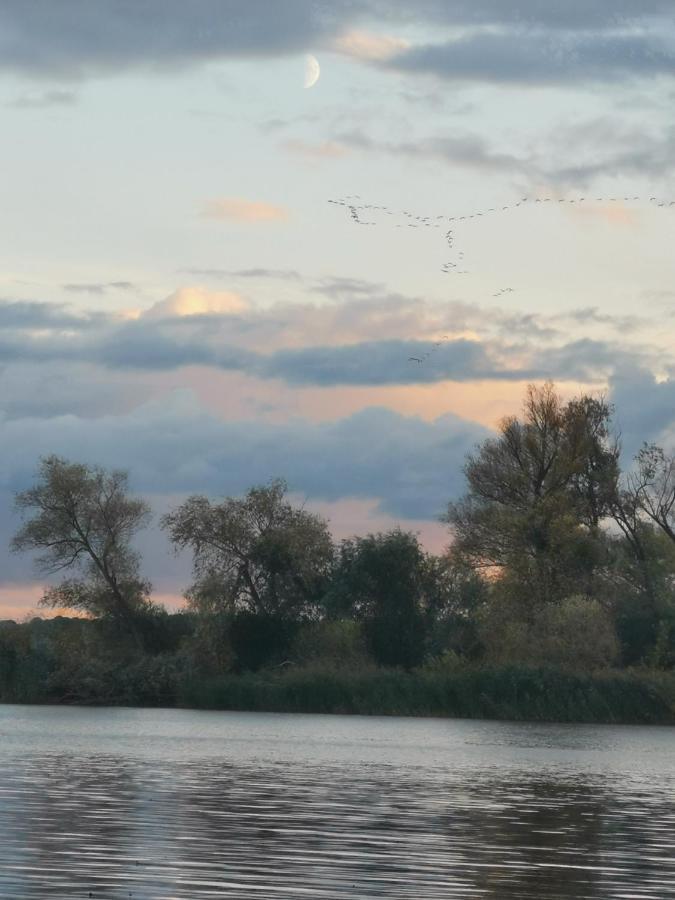 Hausboote Unteres Odertal Hausboot Kranich Hotel Schwedt Buitenkant foto